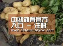 产品展示标题4