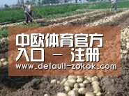 种植基地七(图1)