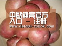 产品展示标题1