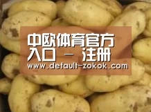 产品展示标题6