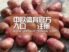 产品展示标题5(图1)