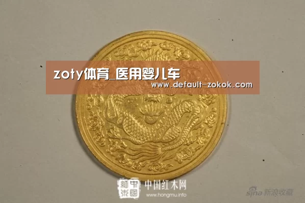 zoty体育_医用婴儿车(图3) 中欧体育