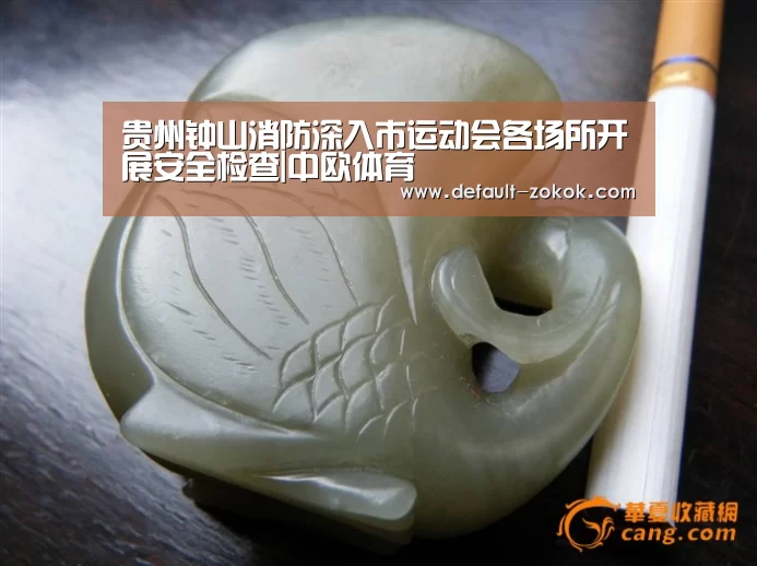 贵州钟山消防深入市运动会各场所开展安全检查|中欧体育(图1) zoty体育