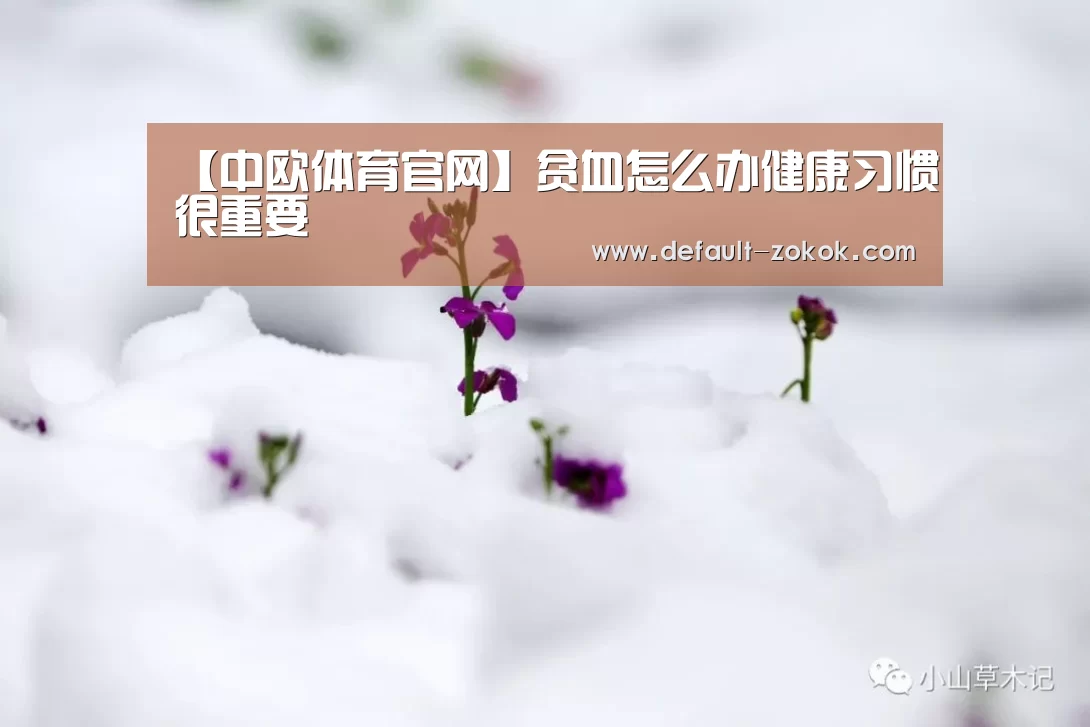 【中欧体育官网】贫血怎么办健康习惯很重要(图2) zoty体育