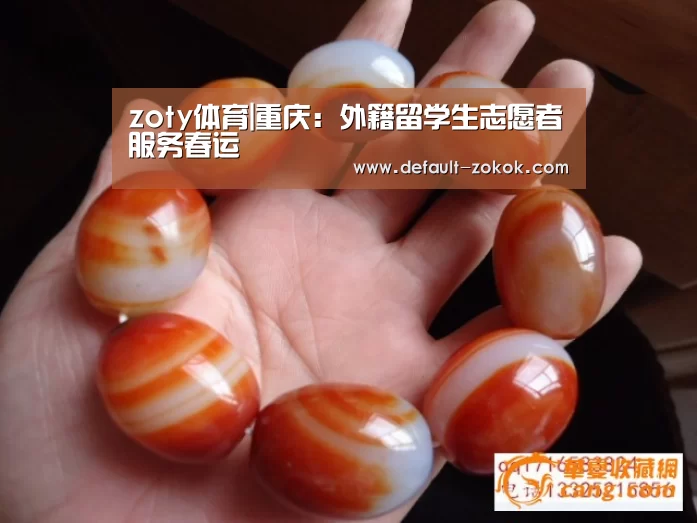 zoty体育|重庆:外籍留学生志愿者服务春运(图4) 中欧体育