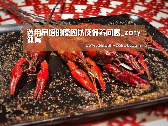 选用吊塔的原因以及保养问题_zoty体育(图1) 中欧体育