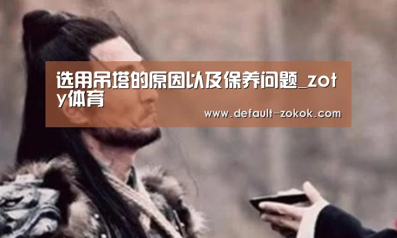 选用吊塔的原因以及保养问题_zoty体育(图3) 中欧体育
