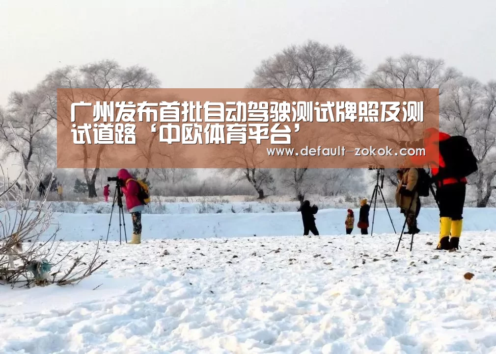 广州发布首批自动驾驶测试牌照及测试道路‘中欧体育平台’(图2) 中欧体育平台